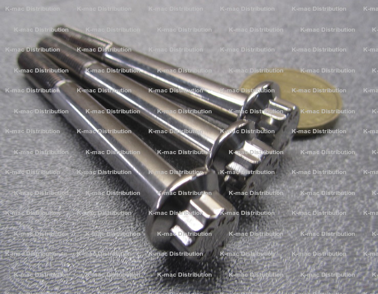 12 Point Stainless Steel Bolt