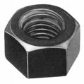 Hex Nuts